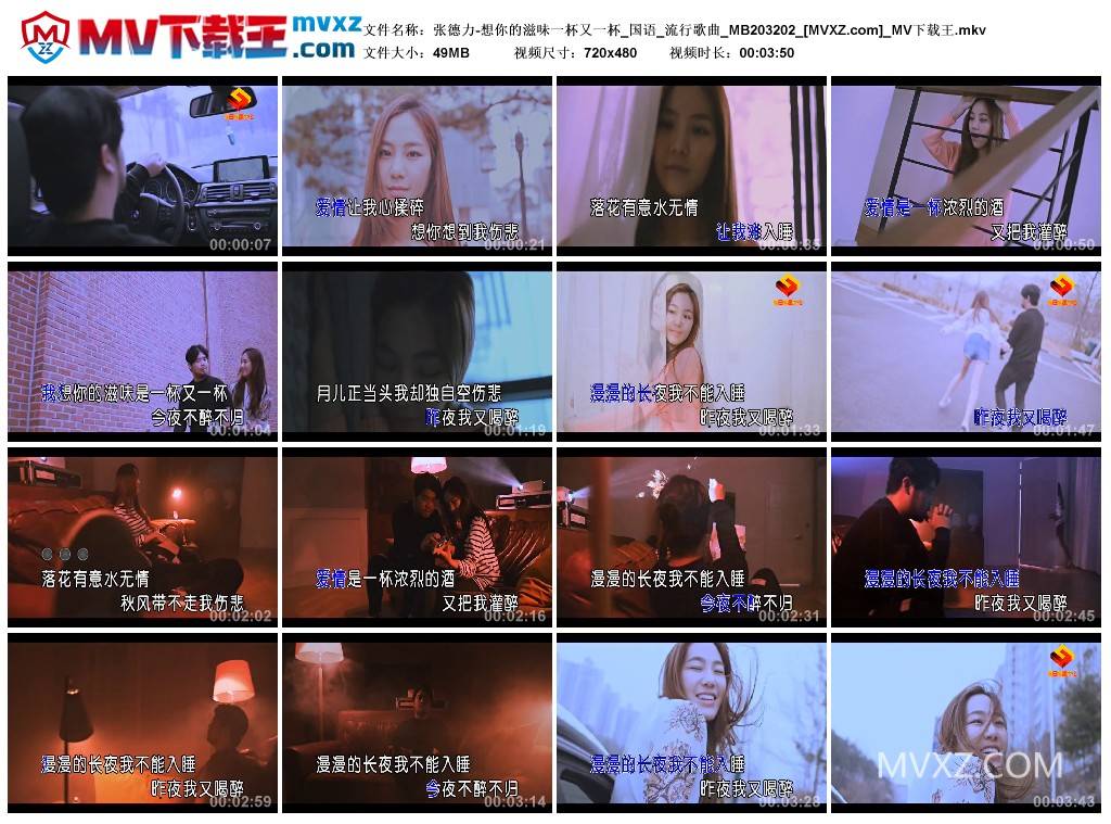 张德力-想你的滋味一杯又一杯_国语_流行歌曲_MB203202